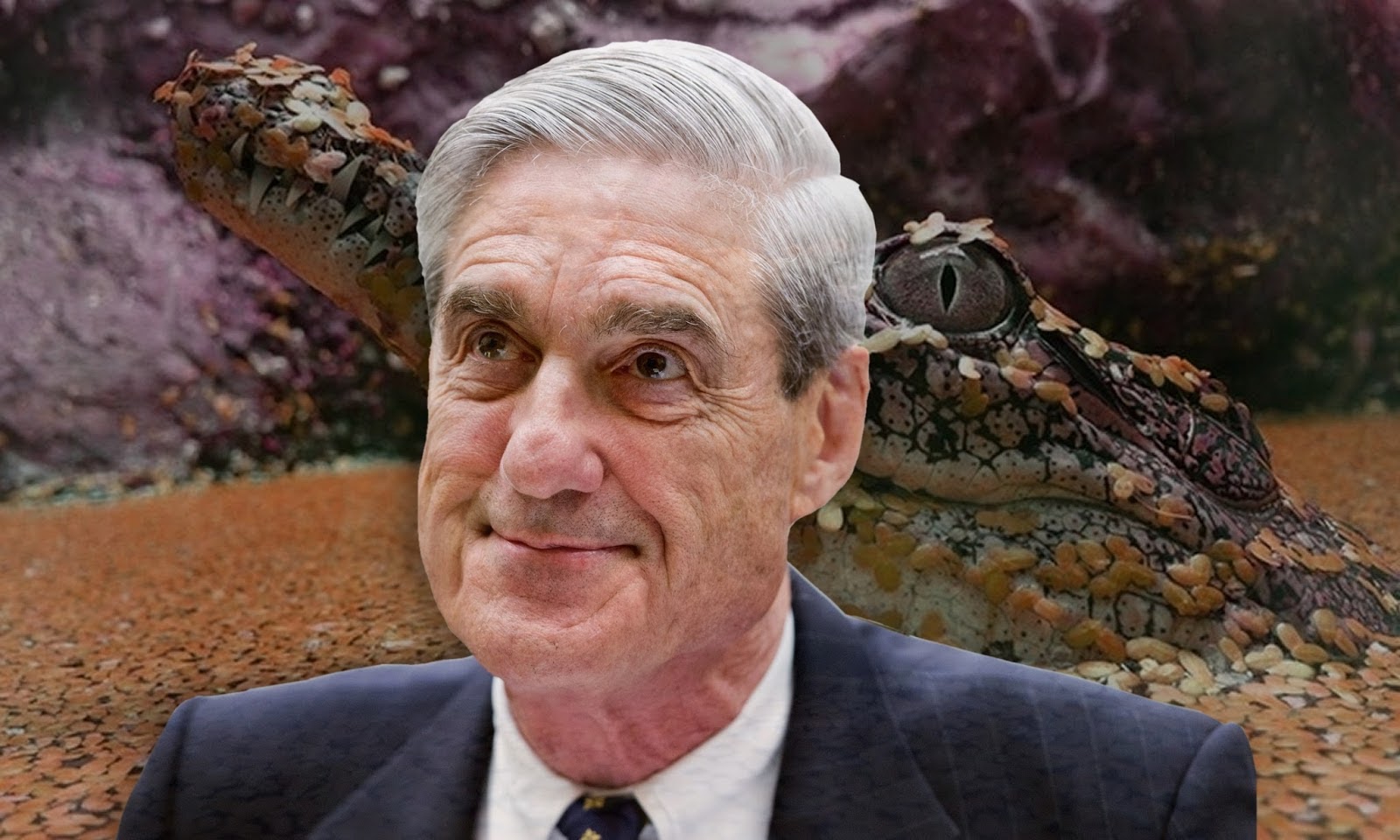 TOP 12 REASONS ROBERT MUELLER IS A HITMAN TO HIDE  THE PILGRIMS SOCIETY